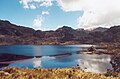 Ecuador cajas national park.jpg