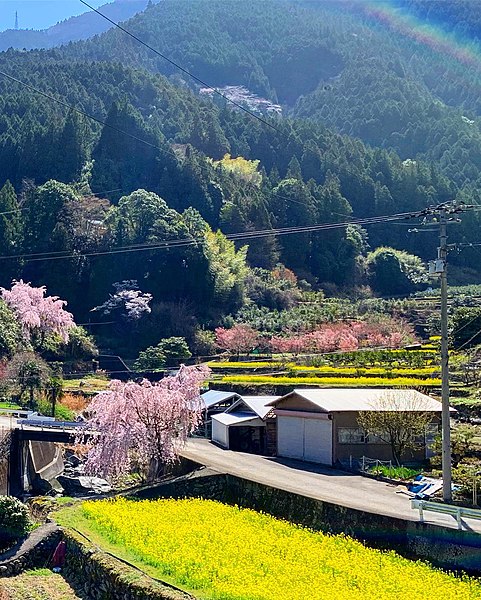 Spring in Kamiyama