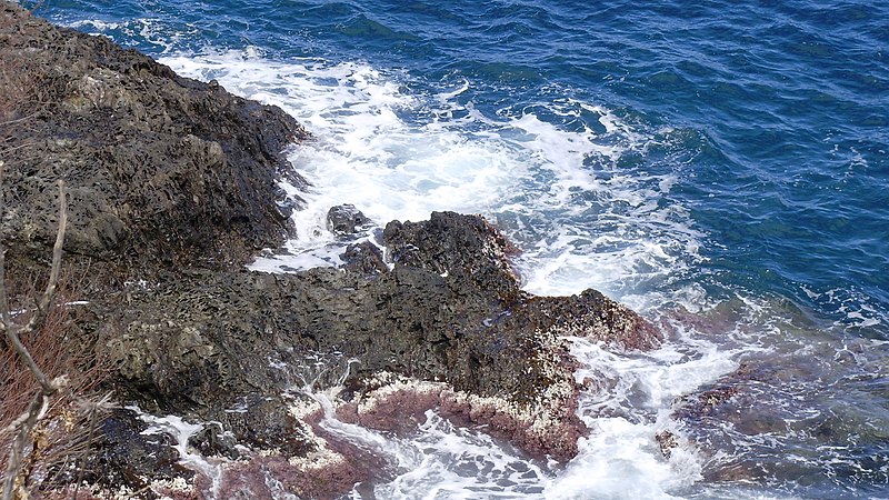 File:El mar (Port-Vendres-Costa Vermella-França) - panoramio.jpg