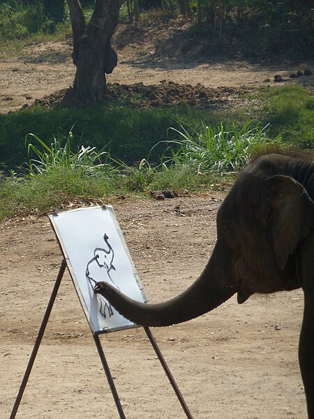 File:Elephant show in Chiang Mai P1110468.JPG