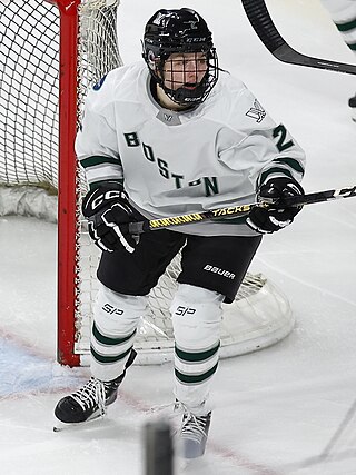 <span class="mw-page-title-main">Emily Brown (ice hockey)</span> American ice hockey player