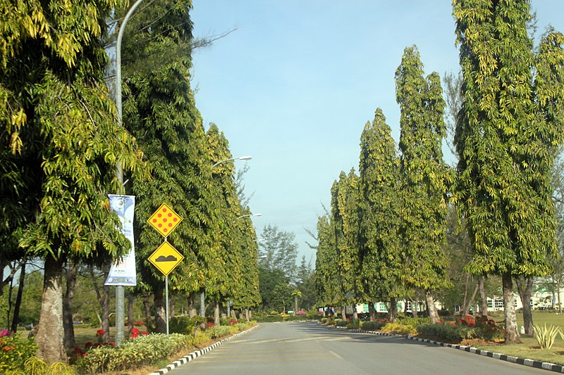 File:Entrance boulevard at Gong Badak campus.jpg