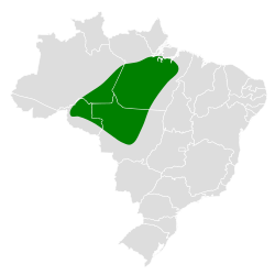 Distribución geográfica del hormiguerito ornado oriental.