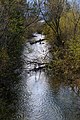 * Nomination The Erlauf river shortly after leaving lake Erlaufsee, border between Styria and Lower Austria, Austria --Uoaei1 05:00, 21 November 2017 (UTC) * Promotion Very Nice, Good Quality -- Sixflashphoto 05:11, 21 November 2017 (UTC)