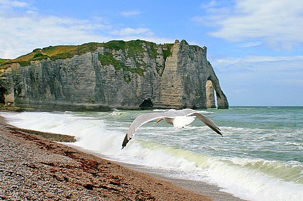 Flying along the Alabaster Coast