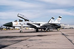 NFWS F-14A at NAS Miramar in 1991 F-14A Tomcat of VF-126 at NAS Miramar 1991.JPEG