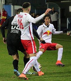 FC Liefering gegen SV Horn (marraskuu 2016) 34.jpg