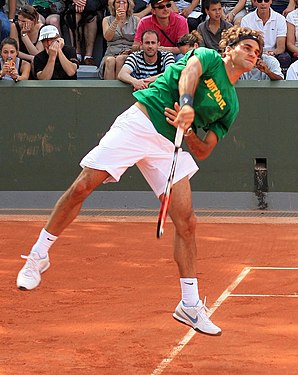 Roger Federer simplu masculin