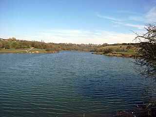 <span class="mw-page-title-main">Buckpool and Fens Pool Local Nature Reserve</span> Local nature reserve in Pensnett, England, United Kingdom