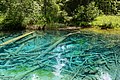 * Nomination Meerauge pond in Bodental, municipality of Ferlach, Carinthia, Austria --Uoaei1 06:37, 29 June 2018 (UTC) * Promotion Good quality. --GT1976 07:16, 29 June 2018 (UTC)
