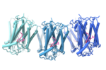 Thumbnail for Sphingomyelin synthase