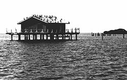 Cabane à poisson à White Rock Shoals.jpg