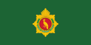 Flag Of Guyana