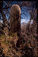 Fort Bowie National Historic Site FOBO1804.jpg