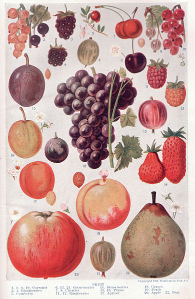 File:Fruit page 1214-1215.jpg