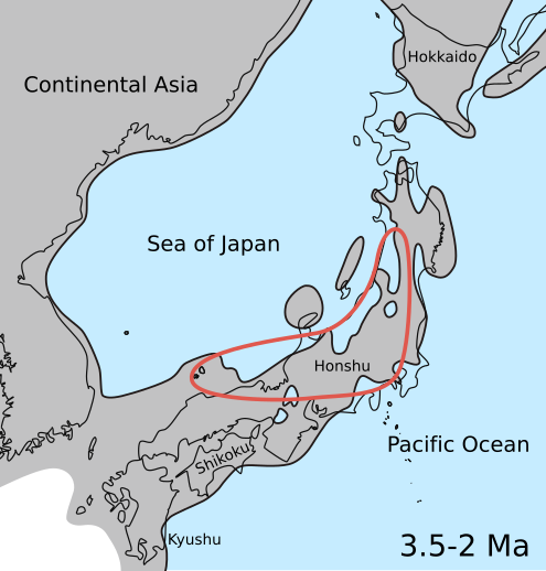 Map showing hypothesized paleodistribution of the genus Fukuia in the Middle Pliocene to Late Pliocene (3.5-2 Ma). Fukuia Pliocene map.svg