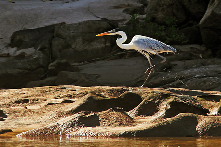 Vườn_quốc_gia_Araguaia