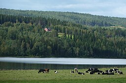 Gensjösjön september 2012.