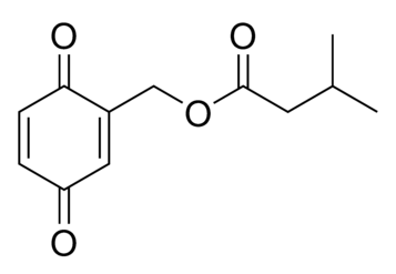 Blattellaquinone, a sex pheromone in cockroaches.