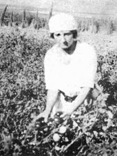 جولدا مائير.. 170px-Golda_working_in_kibbutz_Merhavia1