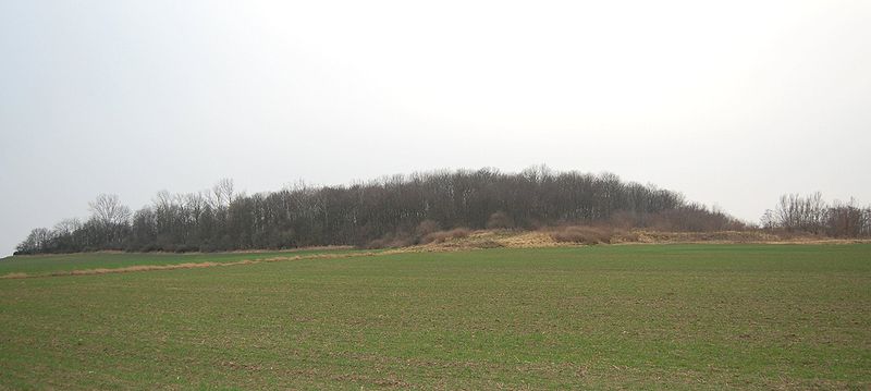 File:Großmühlingen Weinberg.JPG