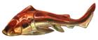 Groenlandaspis riniensis