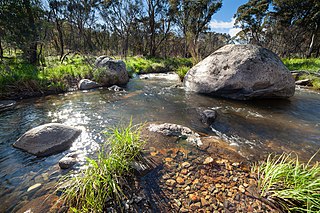 <span class="mw-page-title-main">Gudgenby River</span> River in Australian Capital Territory, Australia