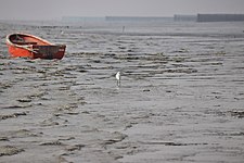 Guliakhali Laut Pantai 19-01-2019 (18).jpg