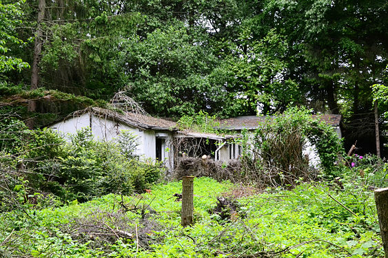 Altes verfallendes Haus in Halstenbek, die Natur wuchert es langsam zu