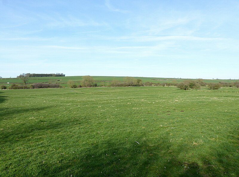 File:Hamilton deserted medieval village - geograph.org.uk - 5735362.jpg