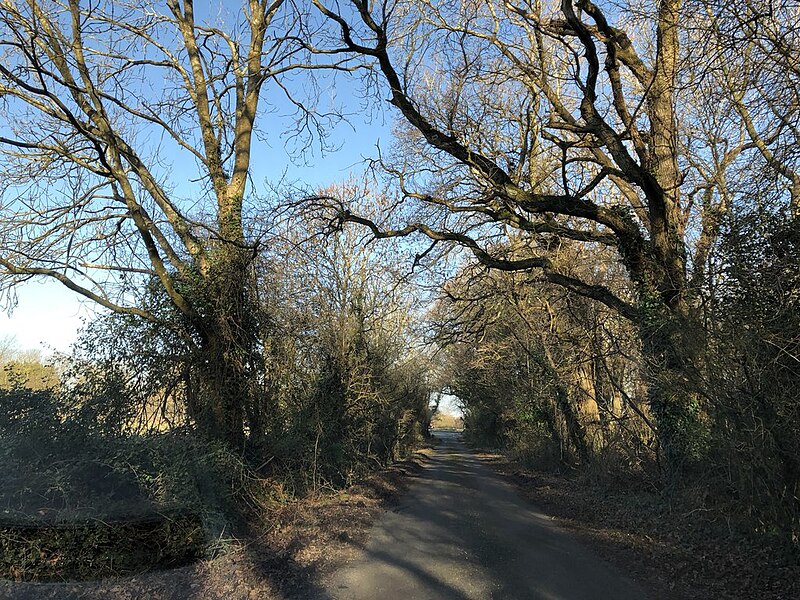 File:Heading to the A27 - geograph.org.uk - 6024629.jpg