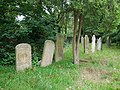 Headstones in Putney Lower Common Cemetery.