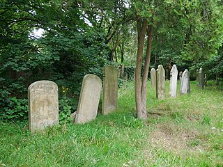 <span class="mw-page-title-main">Putney Lower Common Cemetery</span> Public park and old cemetery in Putney, London