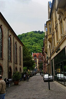 Heidelberg - Karl Ludwig Straße - View SSE