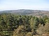 View from the Hausberg tower to the Hesselberg