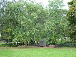 Hyde Park Holocaust Memorial