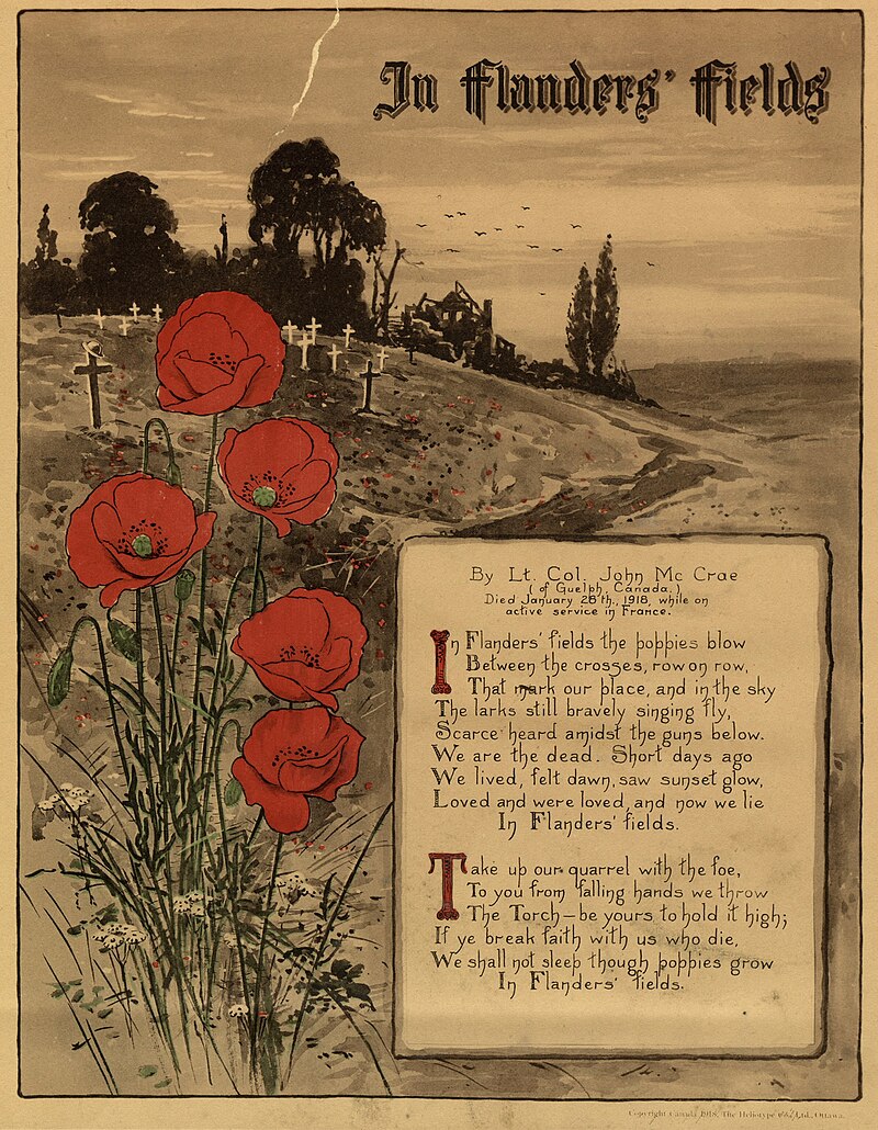 Birchwood Shopping Centre on X: In Flanders fields the poppies blow  Between the crosses, row on row, That mark our place; and in the sky The  larks, still bravely singing, fly Scarce