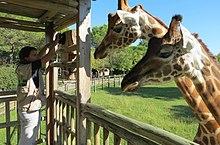 Attività educative presso Parco Zoo Punta Verde di Lignano Sabbiadoro