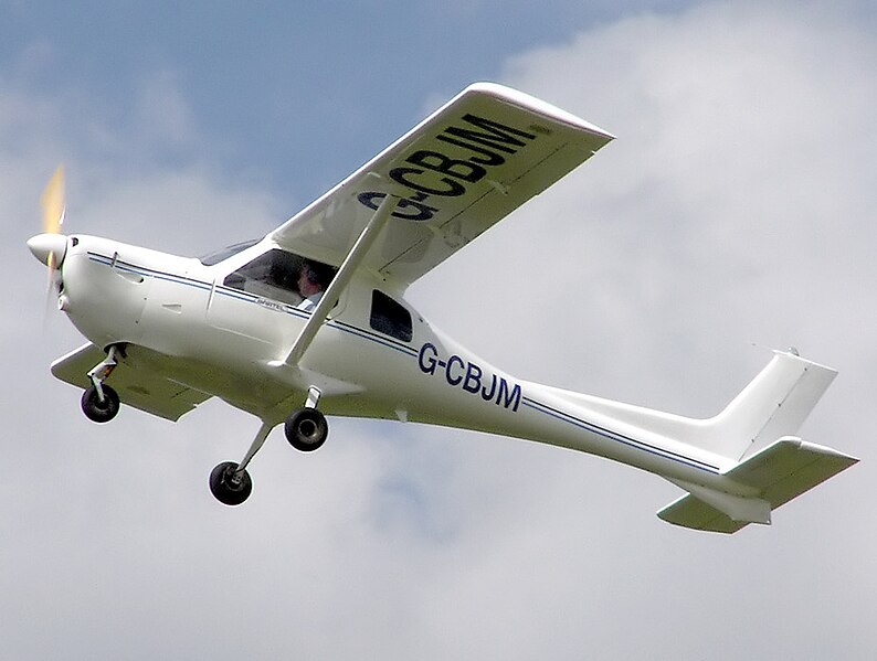 File:Jabiru.sp-470.g-cbjm.arp.jpg