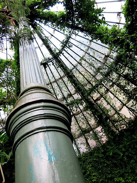 File:Jardín Botánico de Madrid en febrero (16053734293).jpg