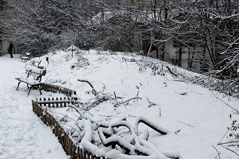 File:Jardin naturel (Paris) sous la neige 26.jpg