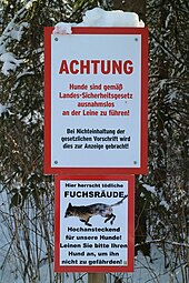 Fuchsräude – Wikipedia