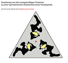 Drei asymmetrische, aber identische Ob­jekte (symbolisiert durch Kater Felix) bil­den ein Trimer mit dreizähliger Ro­tations­sym­metrie.