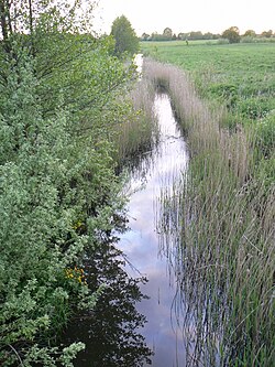 Kisupė od silnice Priekulė - Šernai