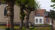 Miniatuur voor Bestand:L'allée Edith Chausson à Chevillon (Yonne, France, mai 2023).jpg