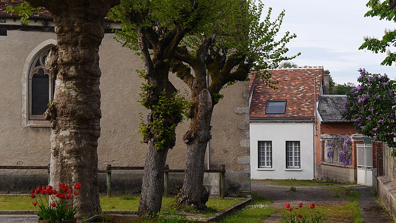 File:L'allée Edith Chausson à Chevillon (Yonne, France, mai 2023).jpg