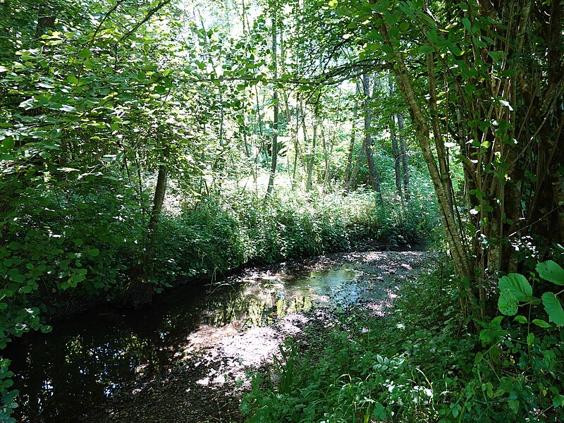 File:La Deysse @ Forêt Domaniale de la Deysse @ Albens (50866471766).jpg