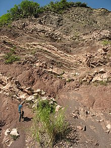 La Quinta Formation o'z turiga Venesuela Andes.JPG bo'limiga yaqin