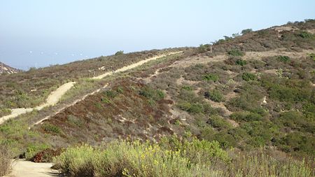 Laguna Coast Wilderness Park