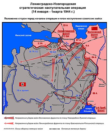 L'opération Novgorod-Luga du 14 janvier au 1er mars 1944.